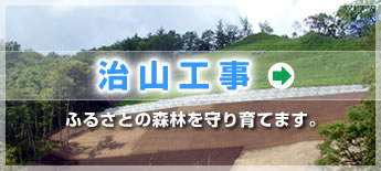 治山工事：ふるさとの森林を守り育てます。