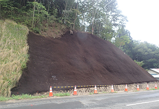 一般県道下宮守田瀬線中通地区道路法面緑化工事　[H29]