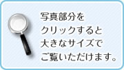 写真部分をクリックすると、大きなサイズでご覧いただけます。